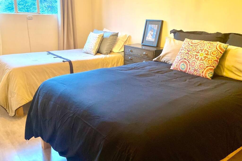 Amazing Cozy Apartment In Condesa Città del Messico Esterno foto