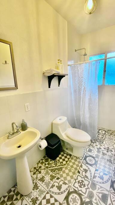 Amazing Cozy Apartment In Condesa Città del Messico Esterno foto