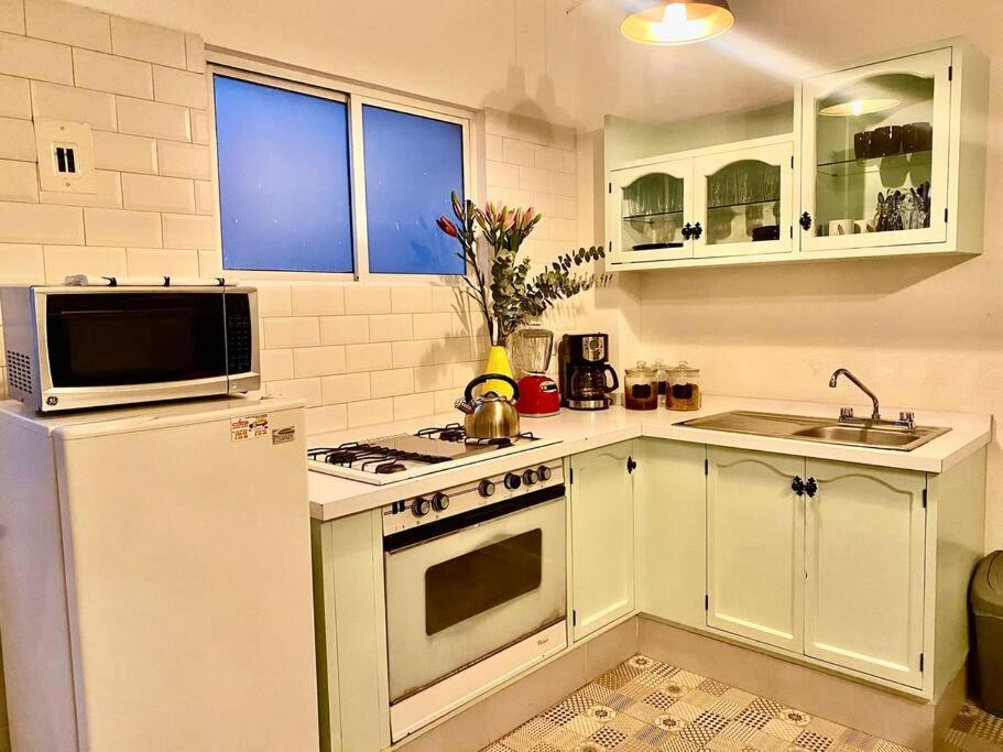 Amazing Cozy Apartment In Condesa Città del Messico Esterno foto